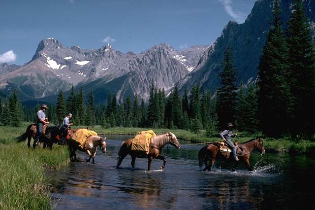 3 Height of Rockies horses