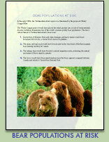 Download PDF of Bear Populations At Risk