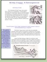 Download PDF of Windy Craggy Retrospective